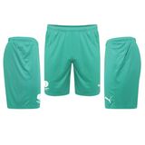 GA Shorts [green]